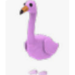 Flamingo is lovee