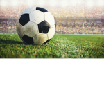 Sports fan hub