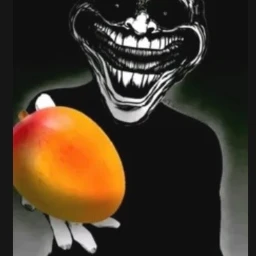 Excuse me, MANGO icon