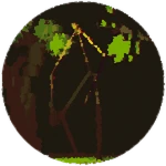 Anima mundi