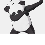 THE RAN DA PANDA FANS