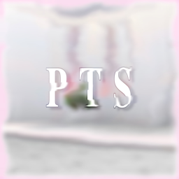 𝐏 𝐓 𝐒 icon
