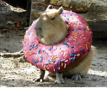 Speed simulator but you capybara [UPDATE]