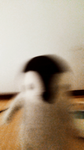 ペンギン