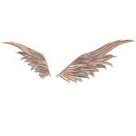 Peach Rose Spring Wings