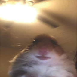 🐹