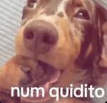 hum sei...