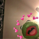 Amaia's Donations