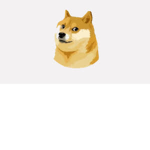 doge family #####