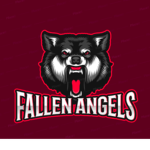 Fallen angels member group