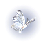 zhirelle