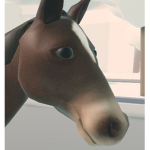 Pro Horse family