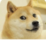 Doggo arm