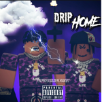 DripHome