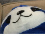 Team blue sloth