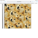 DOGE NATION!!!