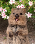 cute, cozy, coquette, etc.