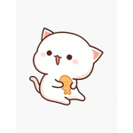 Kitty team <3