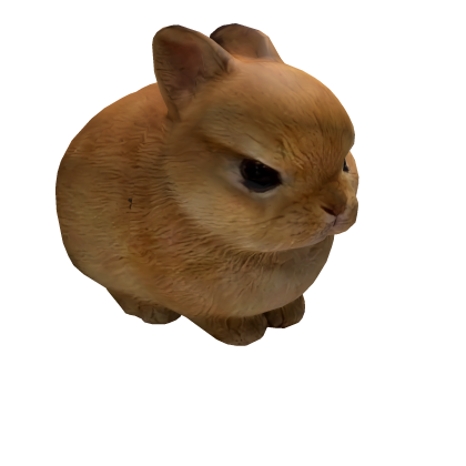 Cute angry bunny