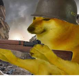 Cheems World War 1: Battle One