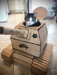 Cat Group v2