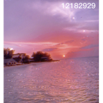 sunrisenortheast