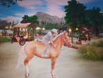 Les chevaux la vie