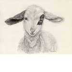 Lamb Squad