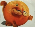 Lasagna Club