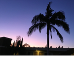 California View Games