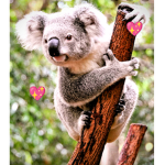 #Love Animals group!