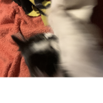yall mind if i