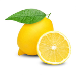 Lemon Clothing TM