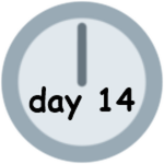 Day 14