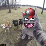 Group Thumbnail
