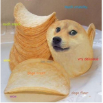 Doge United :)