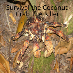 Survival the Coconut Crab The Killer