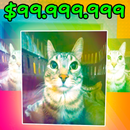 [😺] Steal a Silly Cat