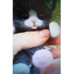 Baby Yoda by Daisy607800
