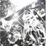 “ velocity ”