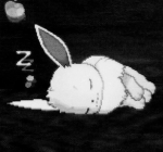 Mio Mio