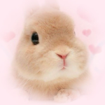 /imeow Group Thumbnail