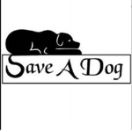 Save The Puppies!Save the dogs!