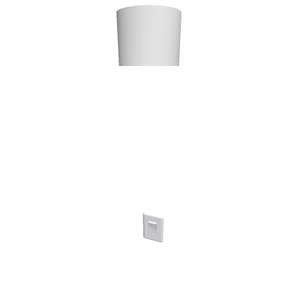 pl can light with swirl type pl bulb