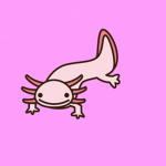 !Axolotl's United!