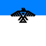 The Cree Coalition of Freedom (The Nothern Frontie