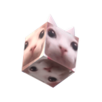 Cube Bingus