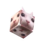 Cube Bingus