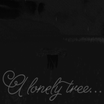 Lonely tree group