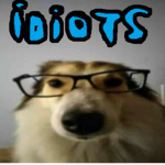 Idiots group!
